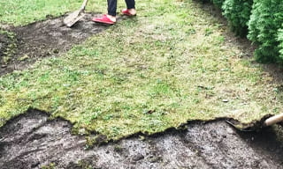 Снятие дерна старого газона в Севастополе – от 524 руб. | ГОСТСТРОЙ